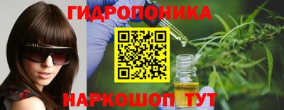 прущие крисы Гай
