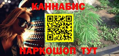 прущие крисы Гай