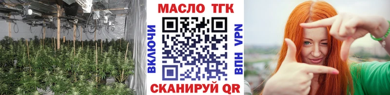 купить  цена  Знаменск  ОМГ ОМГ как войти  ТГК THC oil 