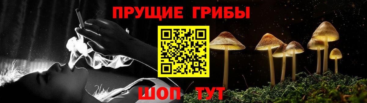 Псилоцибиновые грибы мухоморы  Вход с VPN  Псилоцибиновые грибы мицелий  Знаменск 